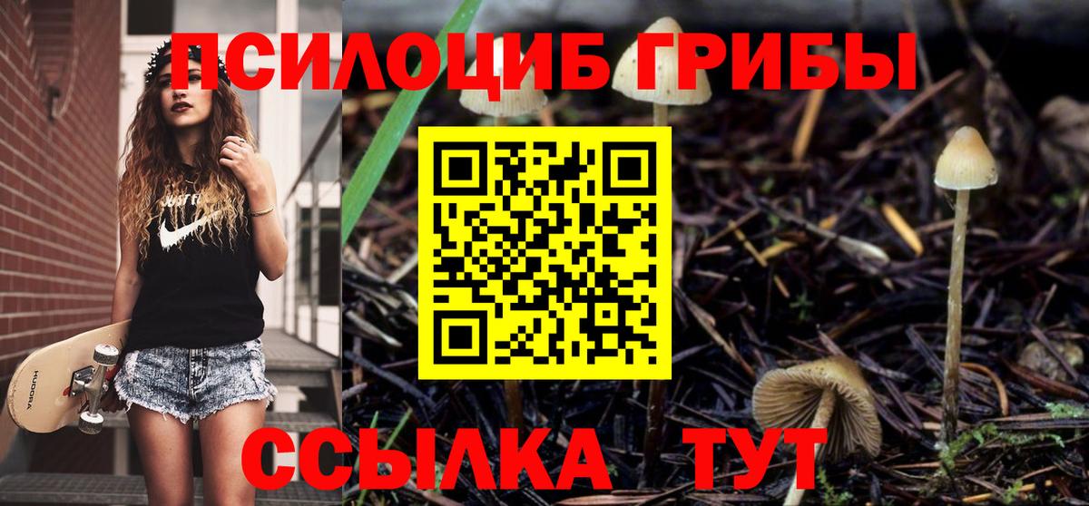 Галлюциногенные грибы Psilocybine cubensis Кудрово