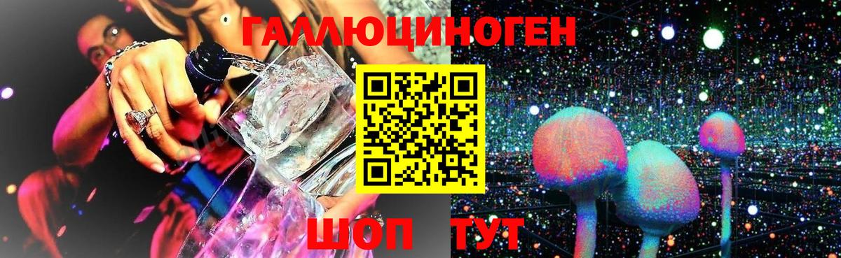 Псилоцибиновые грибы GOLDEN TEACHER  Псилоцибиновые грибы Psilocybine cubensis  Кудрово  Вход с VPN 
